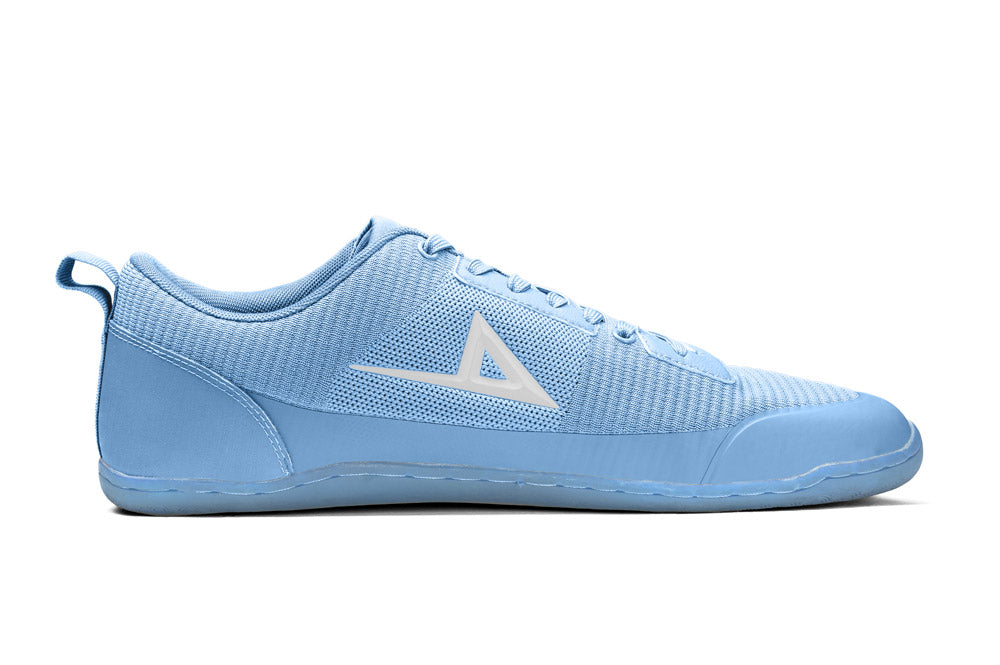 Aion Trainer Frost