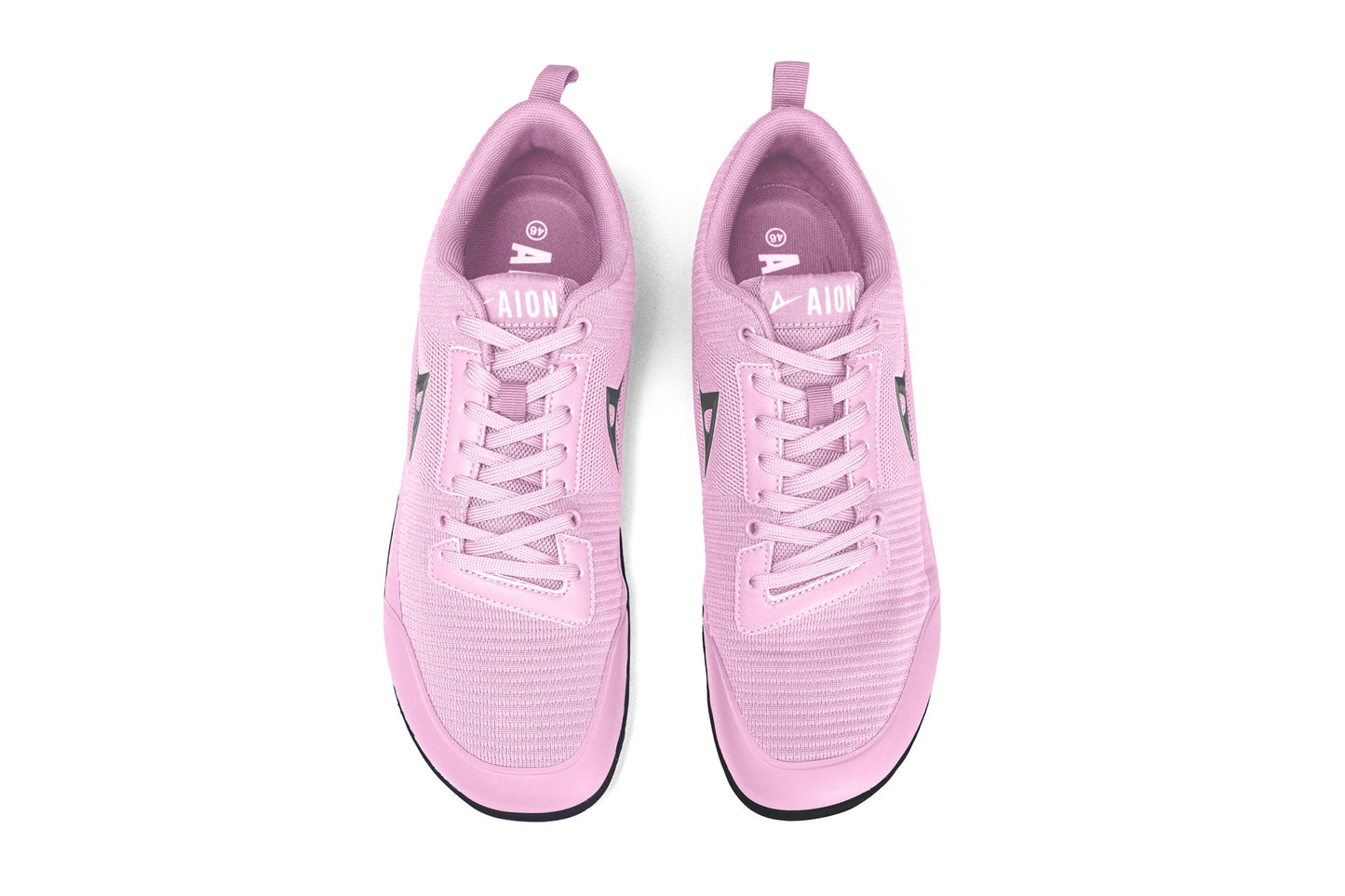 Aion Trainer Rosea
