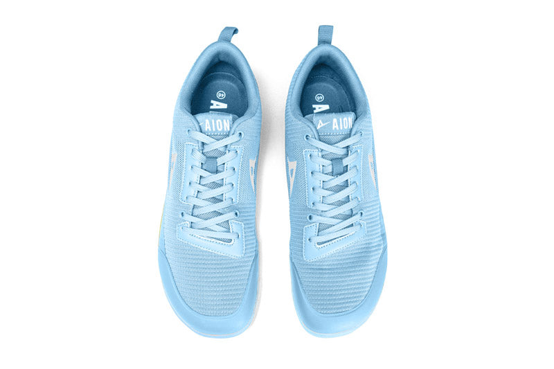 Aion Trainer Frost