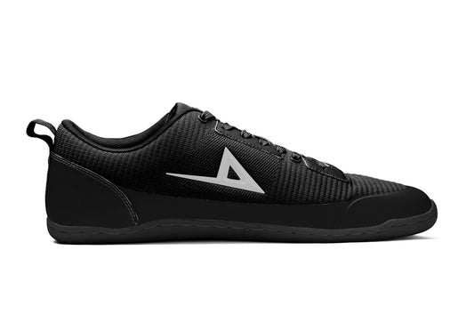 Aion Trainer Mavro