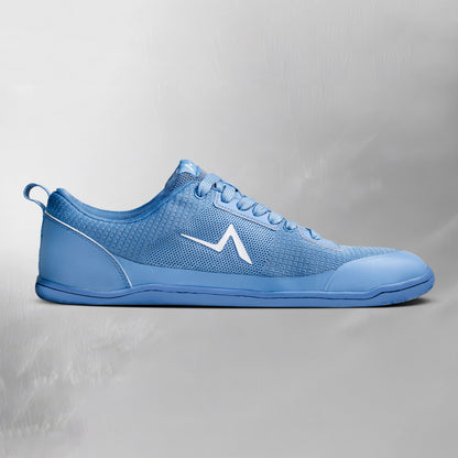 Aion Trainer Frost