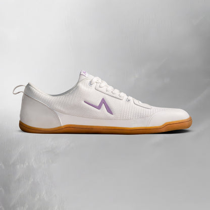 Aion Trainer Dailys
