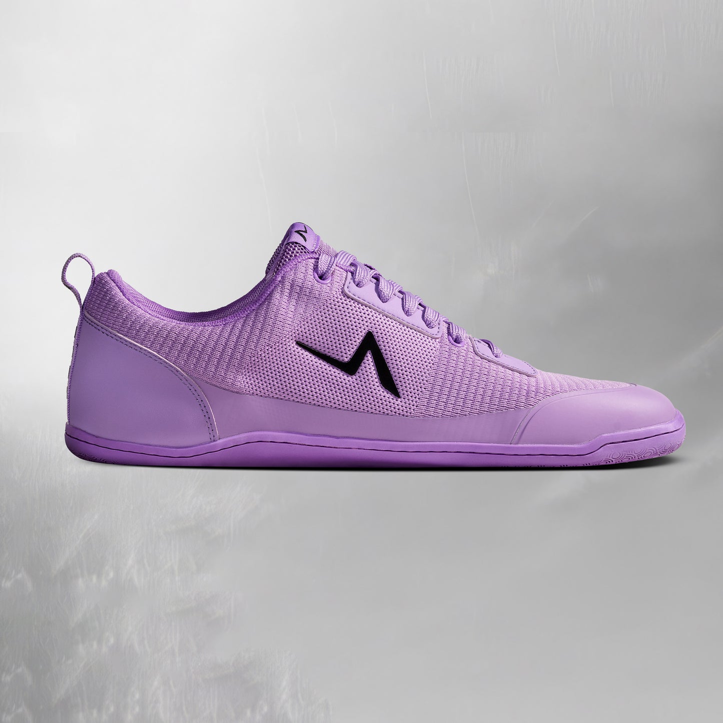 Aion Trainer Iris