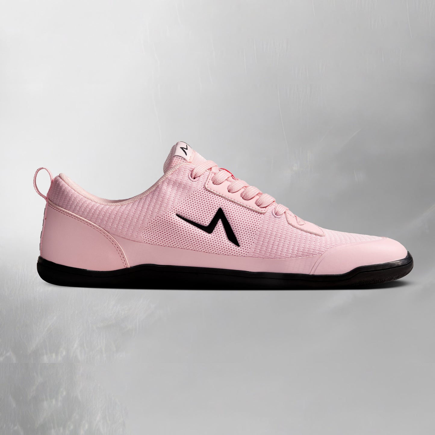 Aion Trainer Rosea
