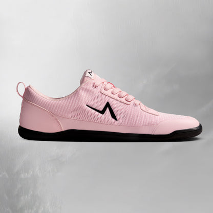 Aion Trainer Rosea