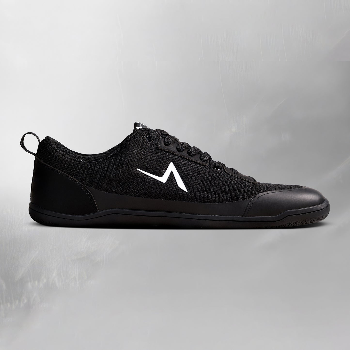 Aion Trainer Mavro