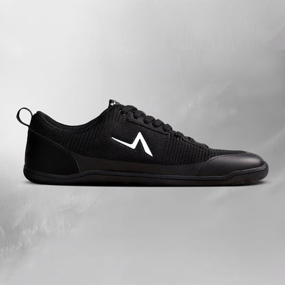 Aion Trainer Mavro