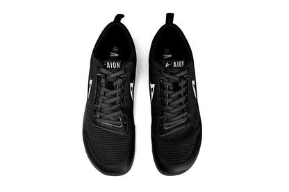 Aion Trainer Mavro