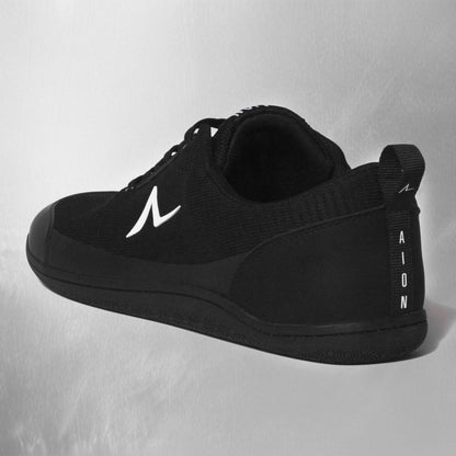 Aion Trainer Mavro