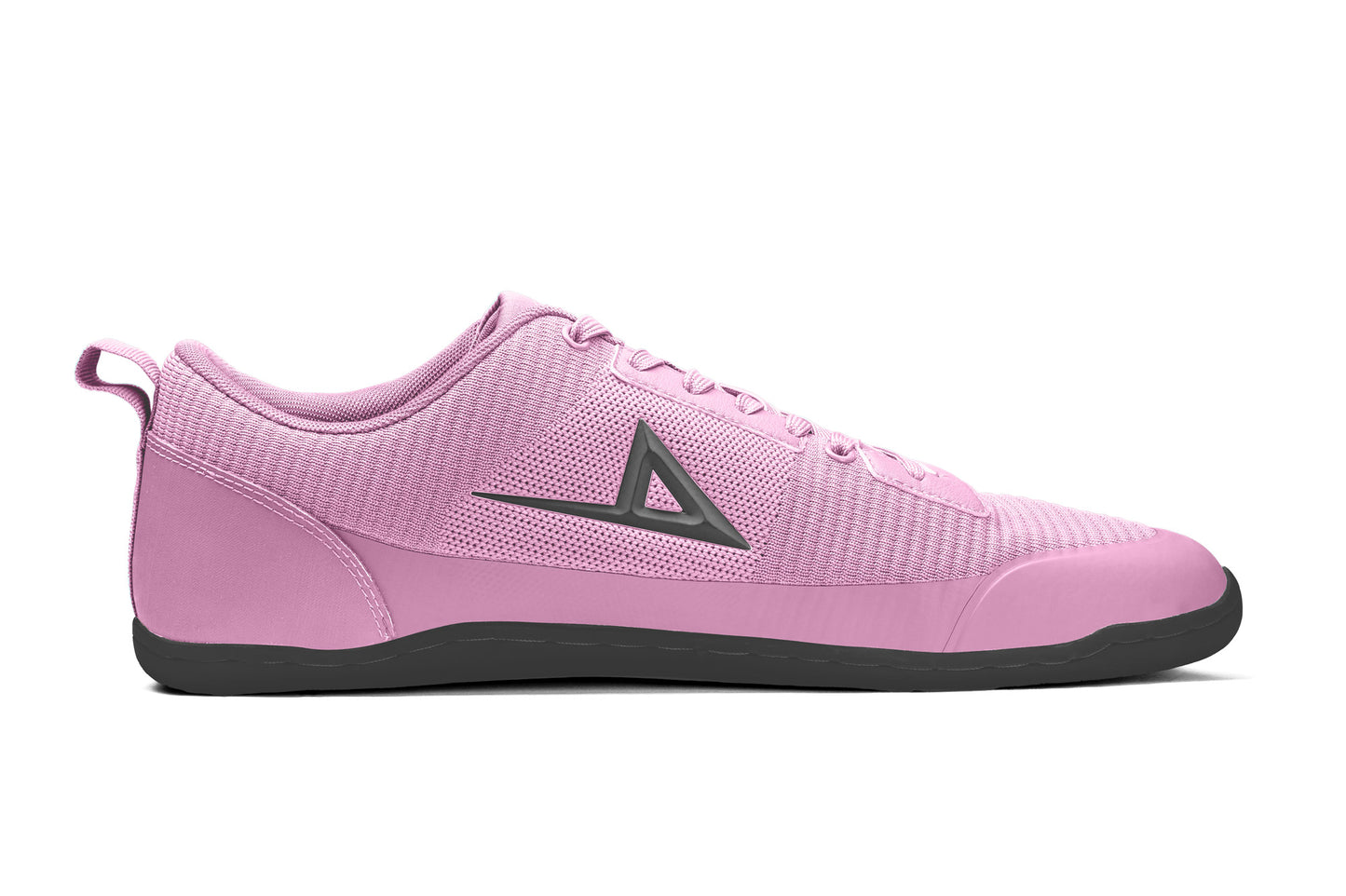 Aion Trainer Rosea